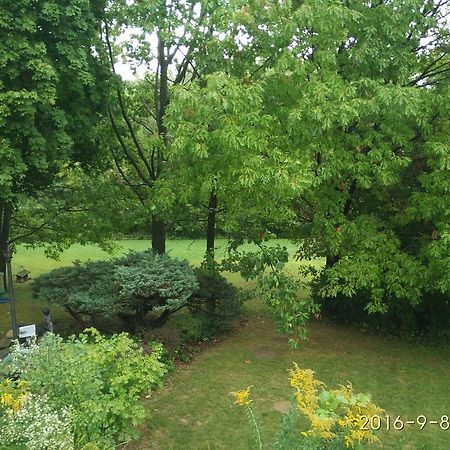 多伦多邓肯公园民宿 Toronto Duncan Park Guesthouse المظهر الخارجي الصورة