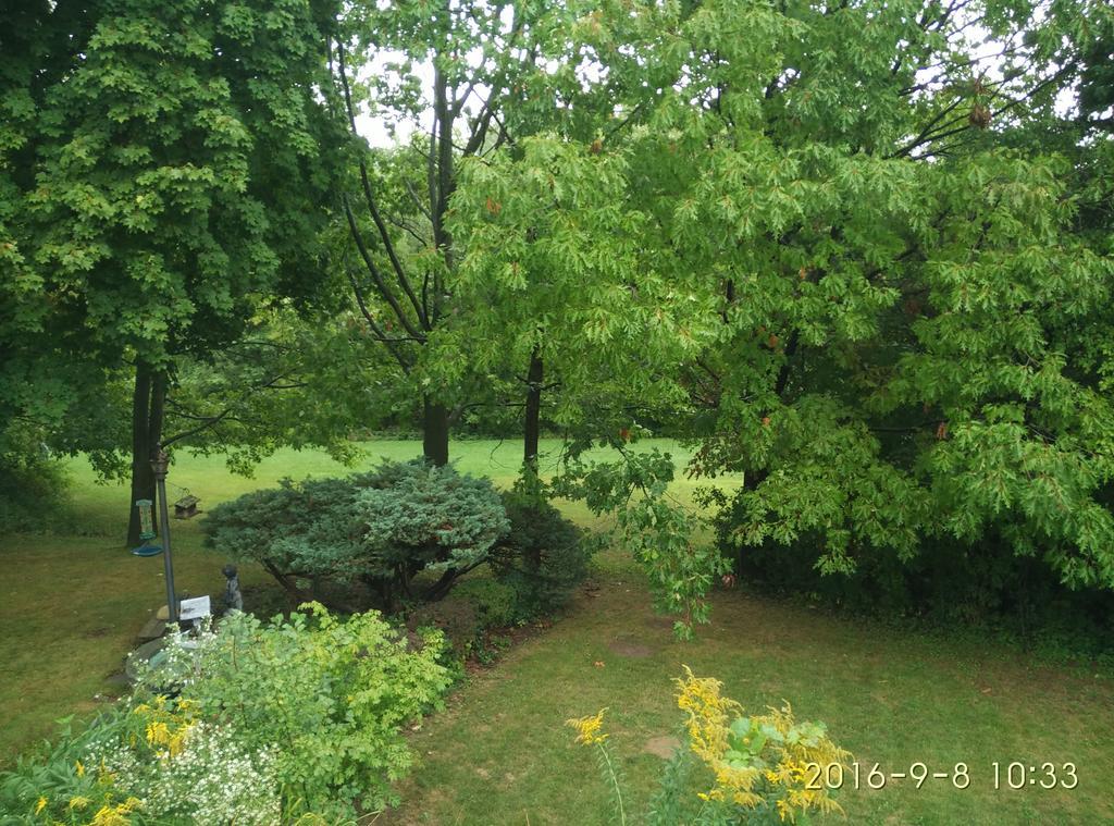 多伦多邓肯公园民宿 Toronto Duncan Park Guesthouse المظهر الخارجي الصورة